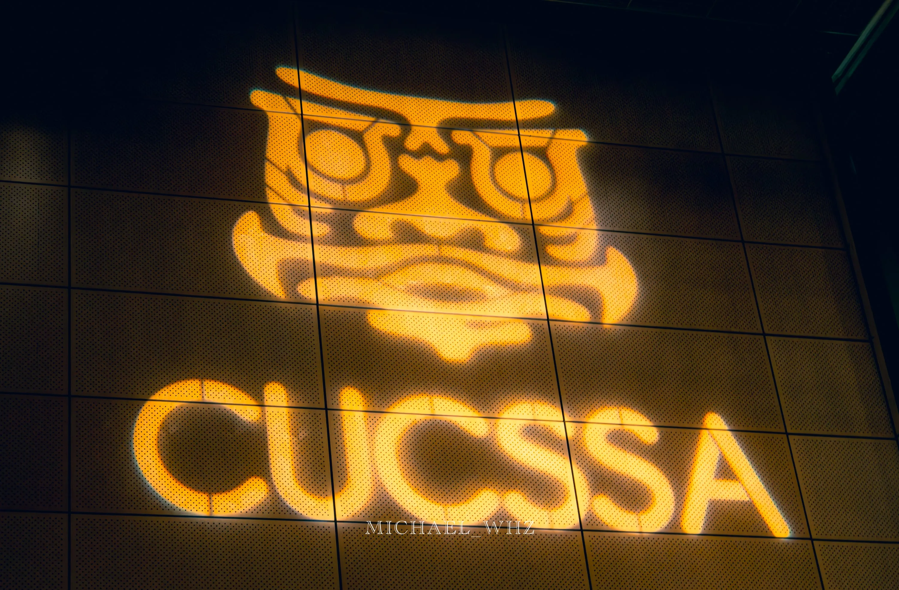 Columbia Lunar New Year Event, photograph 2